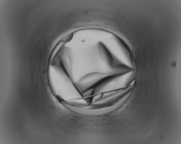 X0000092261534200710121329