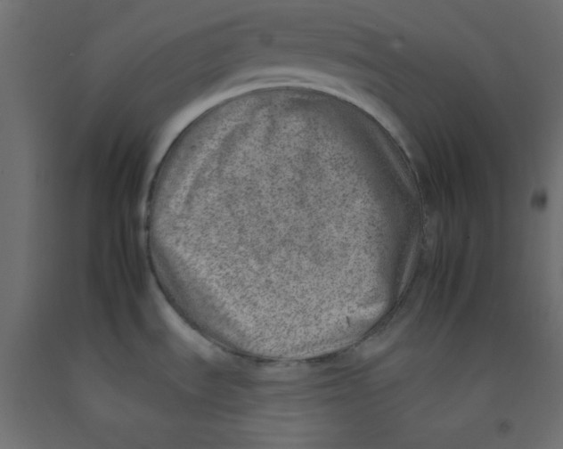 X0000092261535200710121329