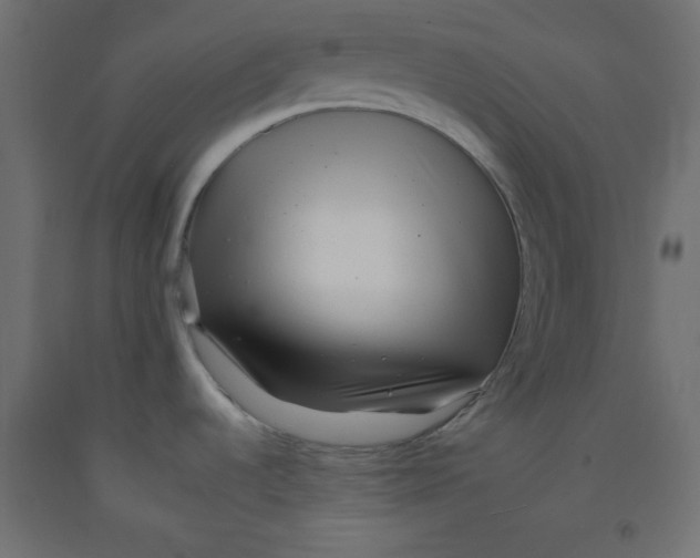 X0000092261536200710121329