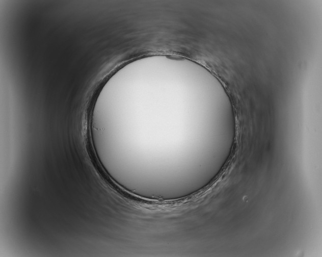 X0000092270005200709140913