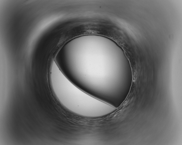 X0000092270052200709140912