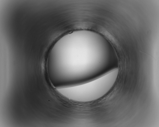 X0000092270064200709140912