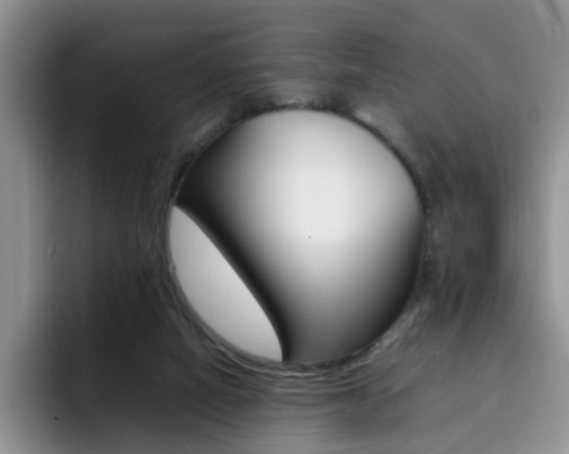 X0000092270066200709140912