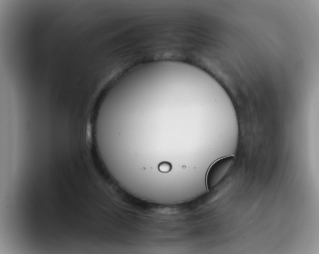 X0000092270067200709140912