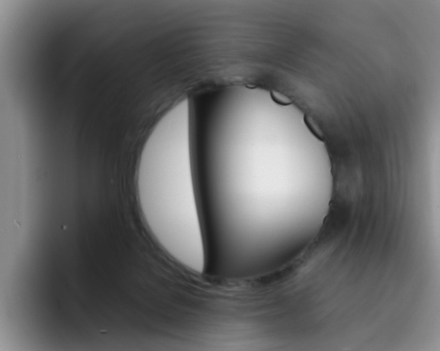 X0000092270076200709140912