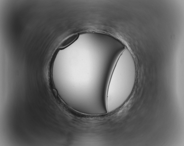 X0000092270103200709140912