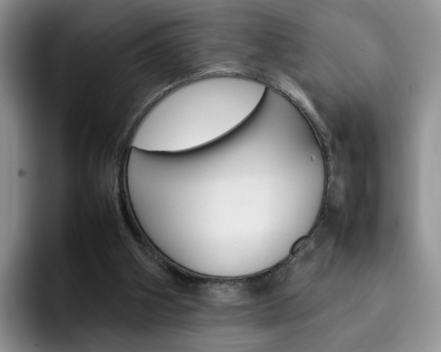 X0000092270106200709140911