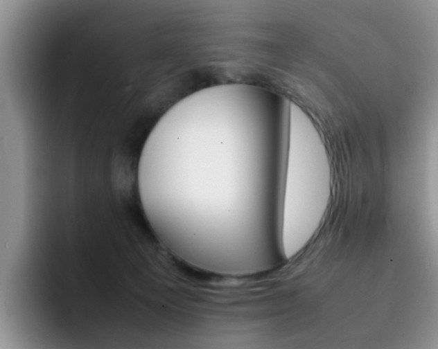 X0000092270129200709140911