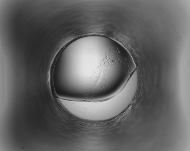 X0000092270148200709140910