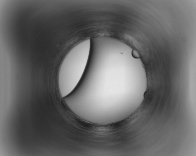 X0000092270163200709140911