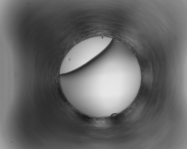 X0000092270181200709140911