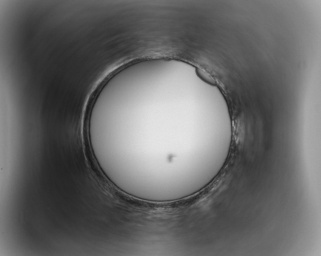 X0000092270196200709140910