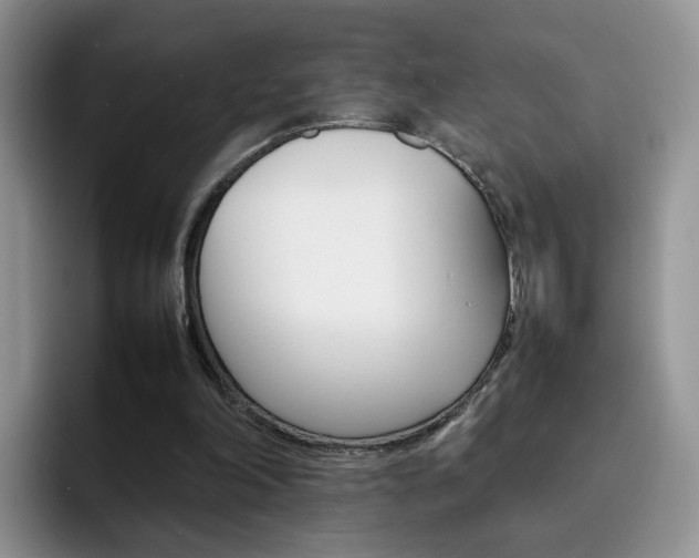 X0000092270198200709140910