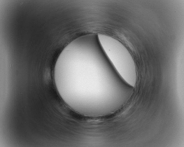X0000092270213200709140910
