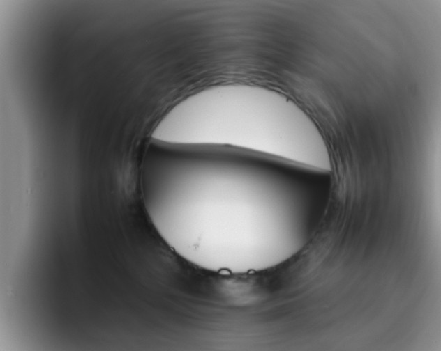 X0000092270232200709140910