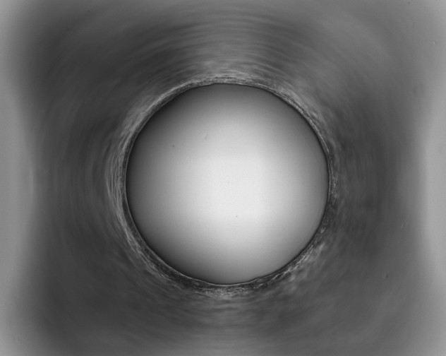 X0000092270241200709140909