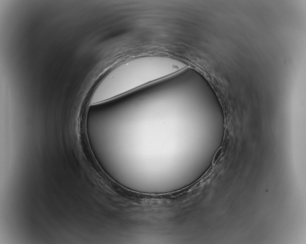 X0000092270242200709140909