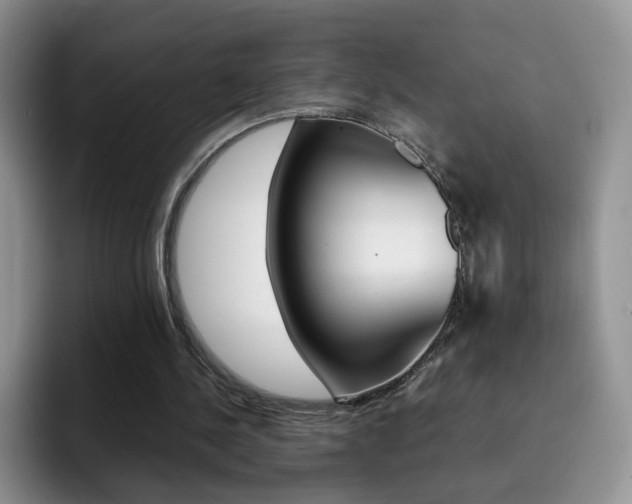 X0000092270244200709140909