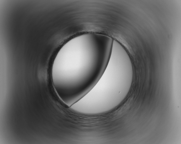 X0000092270252200709140909