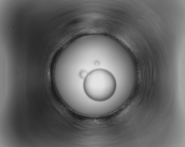 X0000092270254200709140909