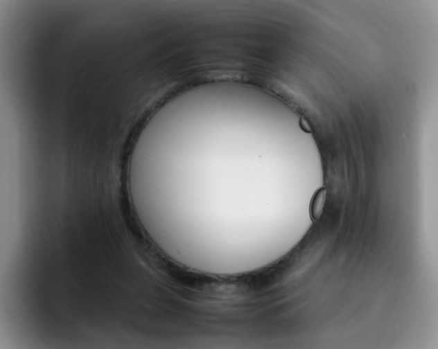 X0000092270255200709140909