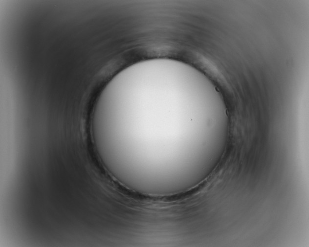 X0000092270258200709140909