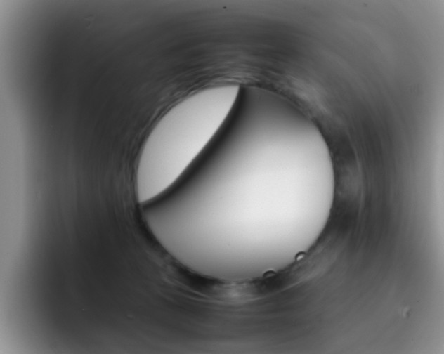 X0000092270273200709140910