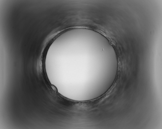 X0000092270294200709140909