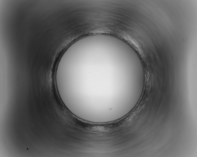 X0000092270298200709140909