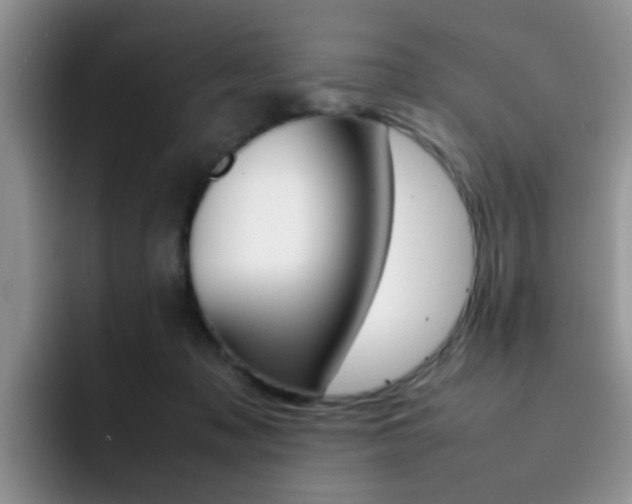 X0000092270317200709140909