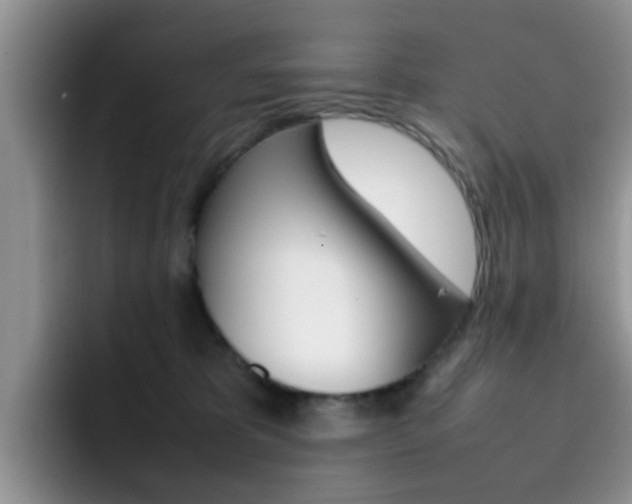 X0000092270325200709140909