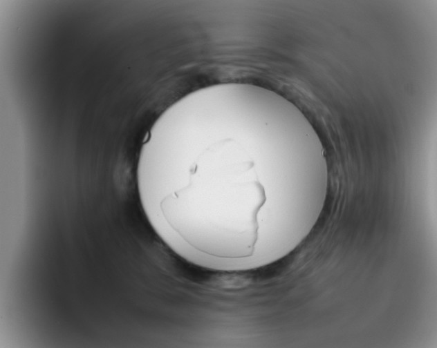 X0000092270327200709140909