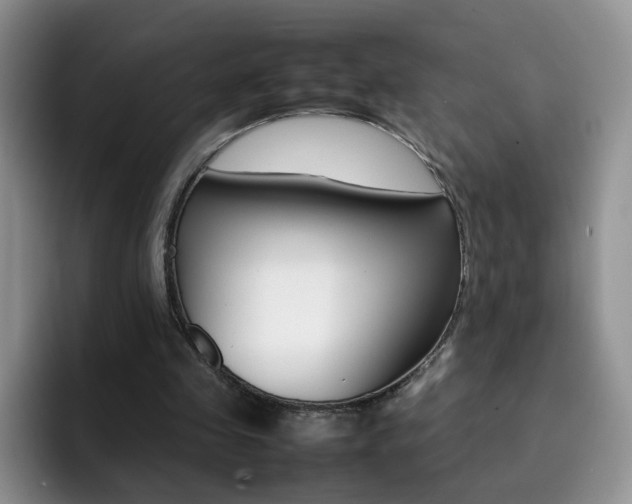 X0000092270341200709140908
