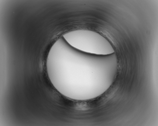 X0000092270355200709140908