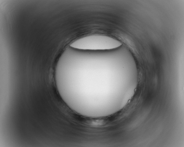 X0000092270361200709140908