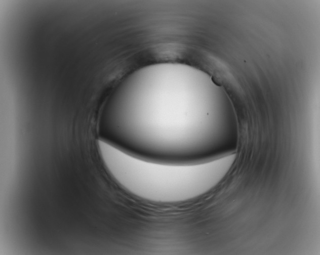 X0000092270364200709140908