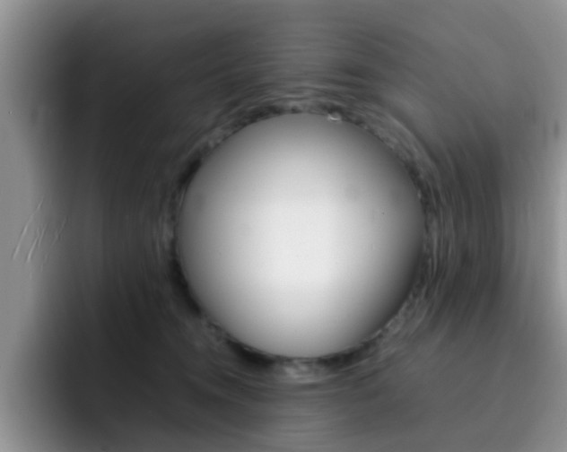 X0000092270372200709140908