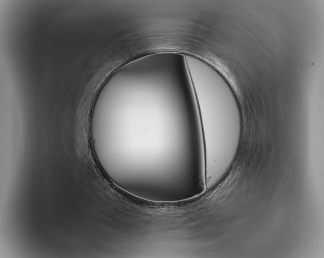 X0000092270385200709140908
