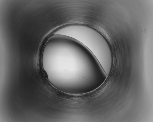 X0000092270388200709140908