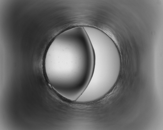 X0000092270389200709140908