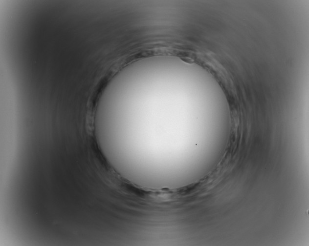 X0000092270419200709140908