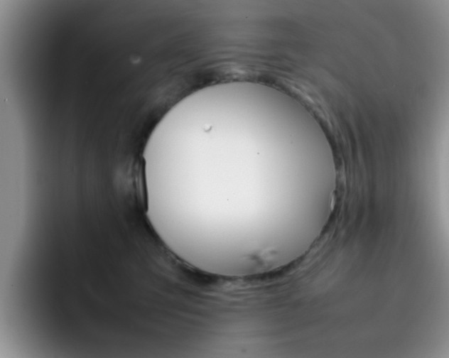 X0000092270423200709140908