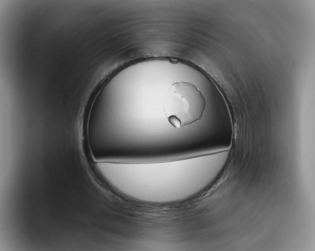 X0000092270438200709140907