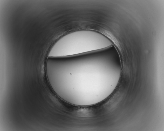 X0000092270441200709140907