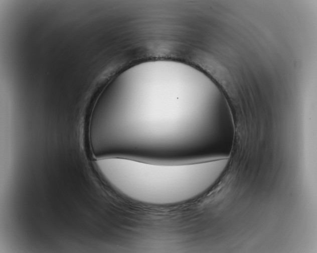 X0000092270442200709140907