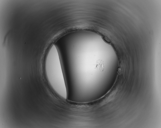X0000092270446200709140907