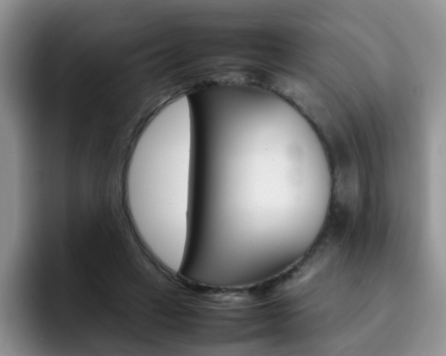 X0000092270449200709140907