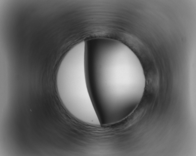 X0000092270454200709140907