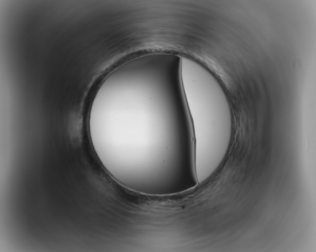 X0000092270488200709140907