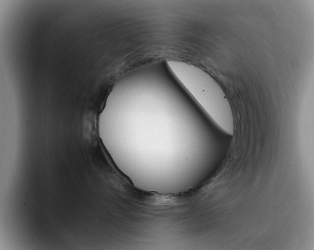 X0000092270528200709140906